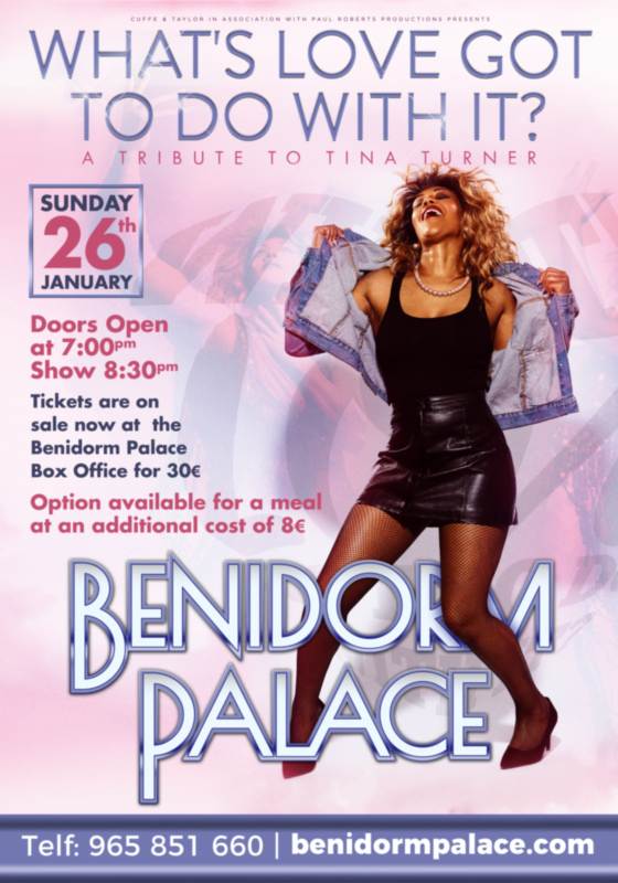 Tina Turner Tribute tina turner tribute