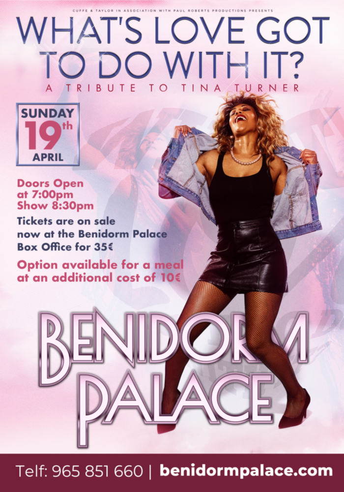 What's love got to do with it tina turner tribute